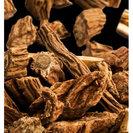 celebrity woman edp celebrity woman edp