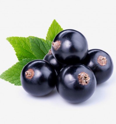 celebrity woman edp celebrity woman edp