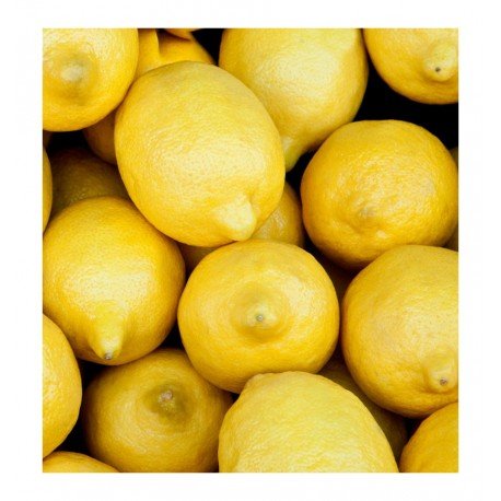 blue sand eau de parfum blue sand eau de parfum