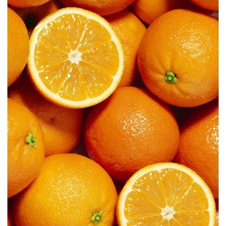 blue sand eau de parfum blue sand eau de parfum