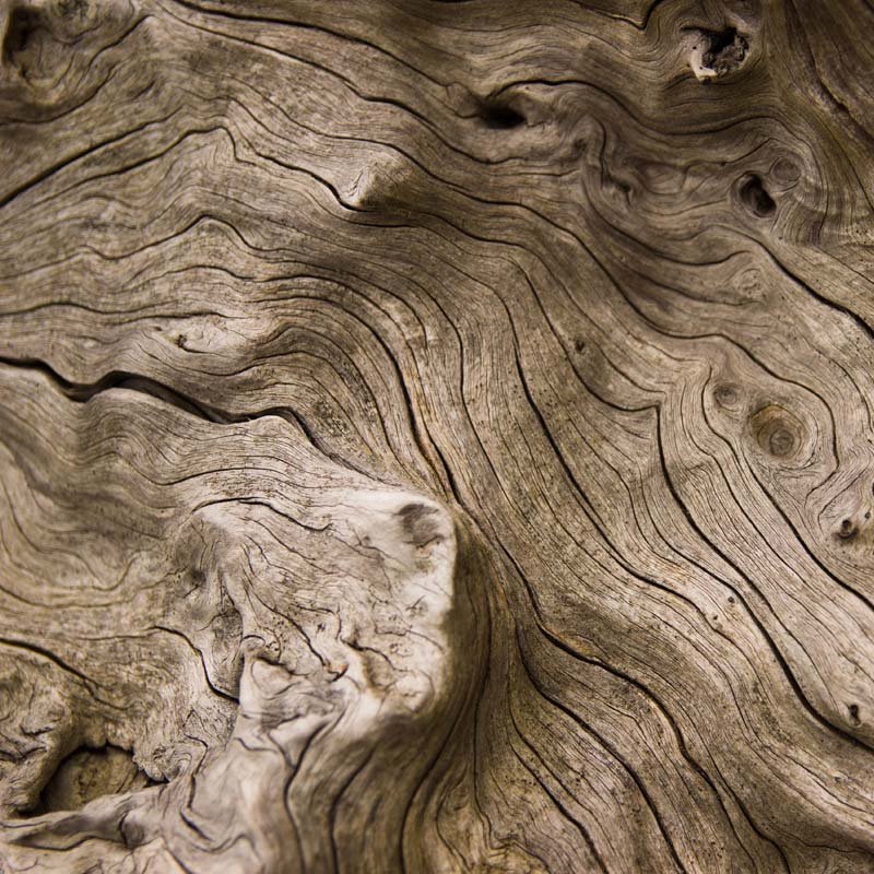 caribbean edp caribbean edp