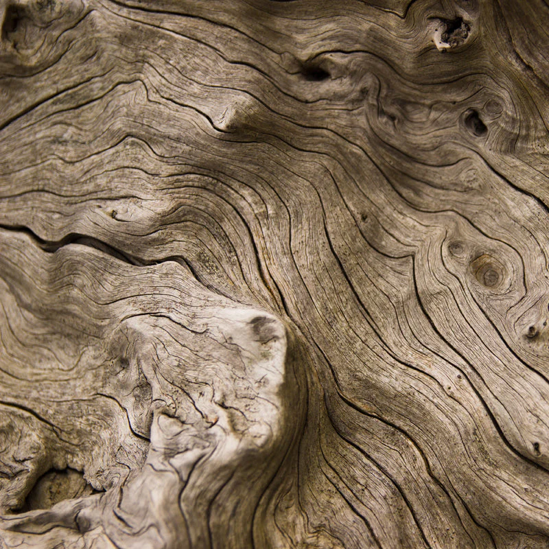 island edp island edp