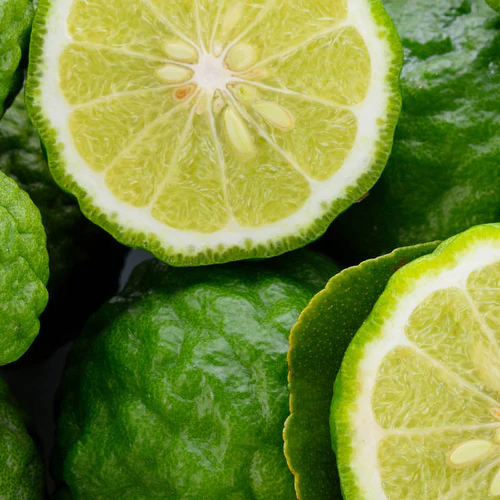 peak eau de parfum peak eau de parfum