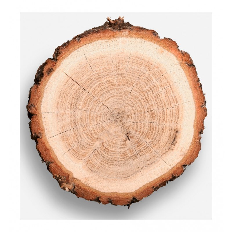 ceix for him edp ceix for him edp