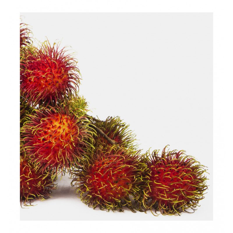 claudia edp claudia edp