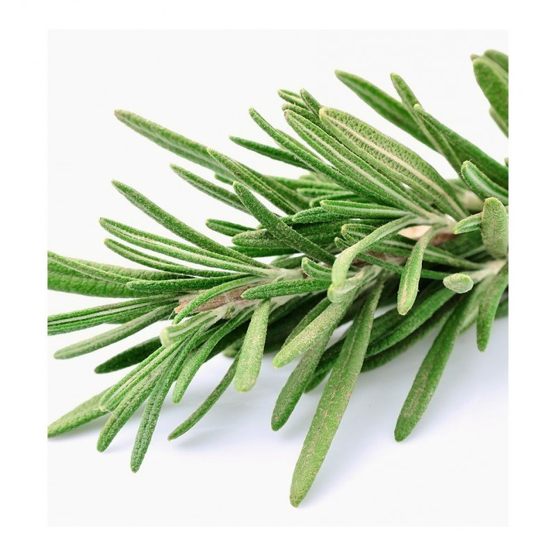 d'arte edp d'arte edp