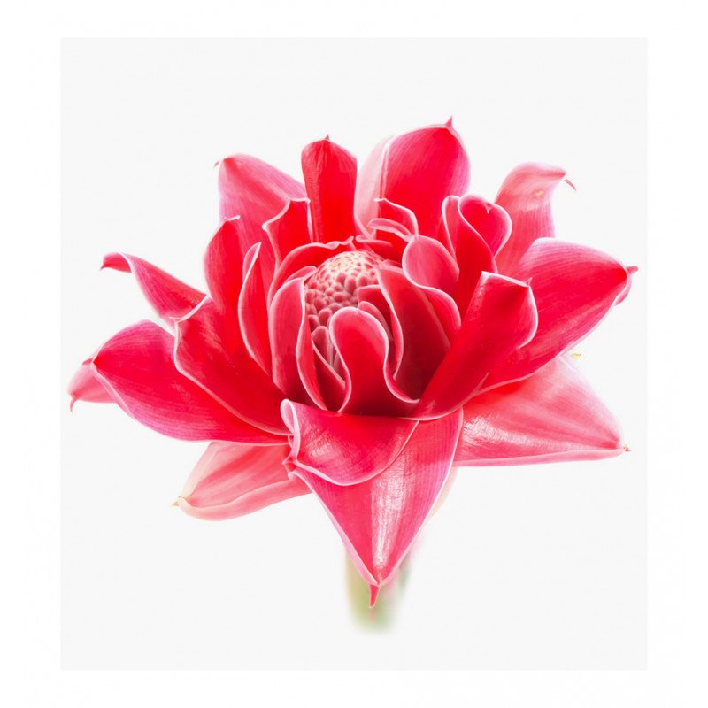 jana eau de parfum jana eau de parfum