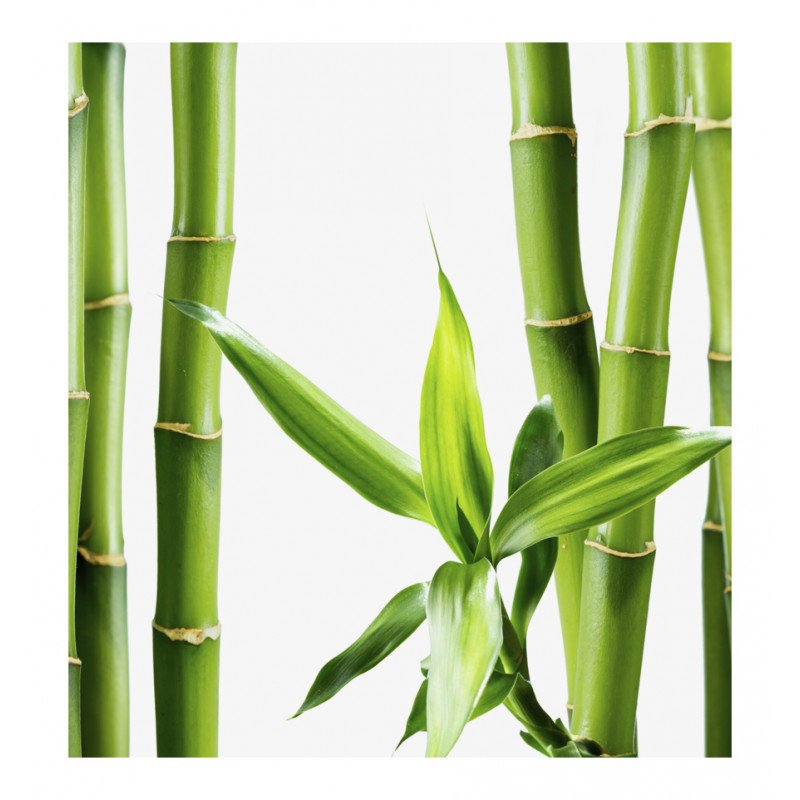 sensi più edp sensi più edp