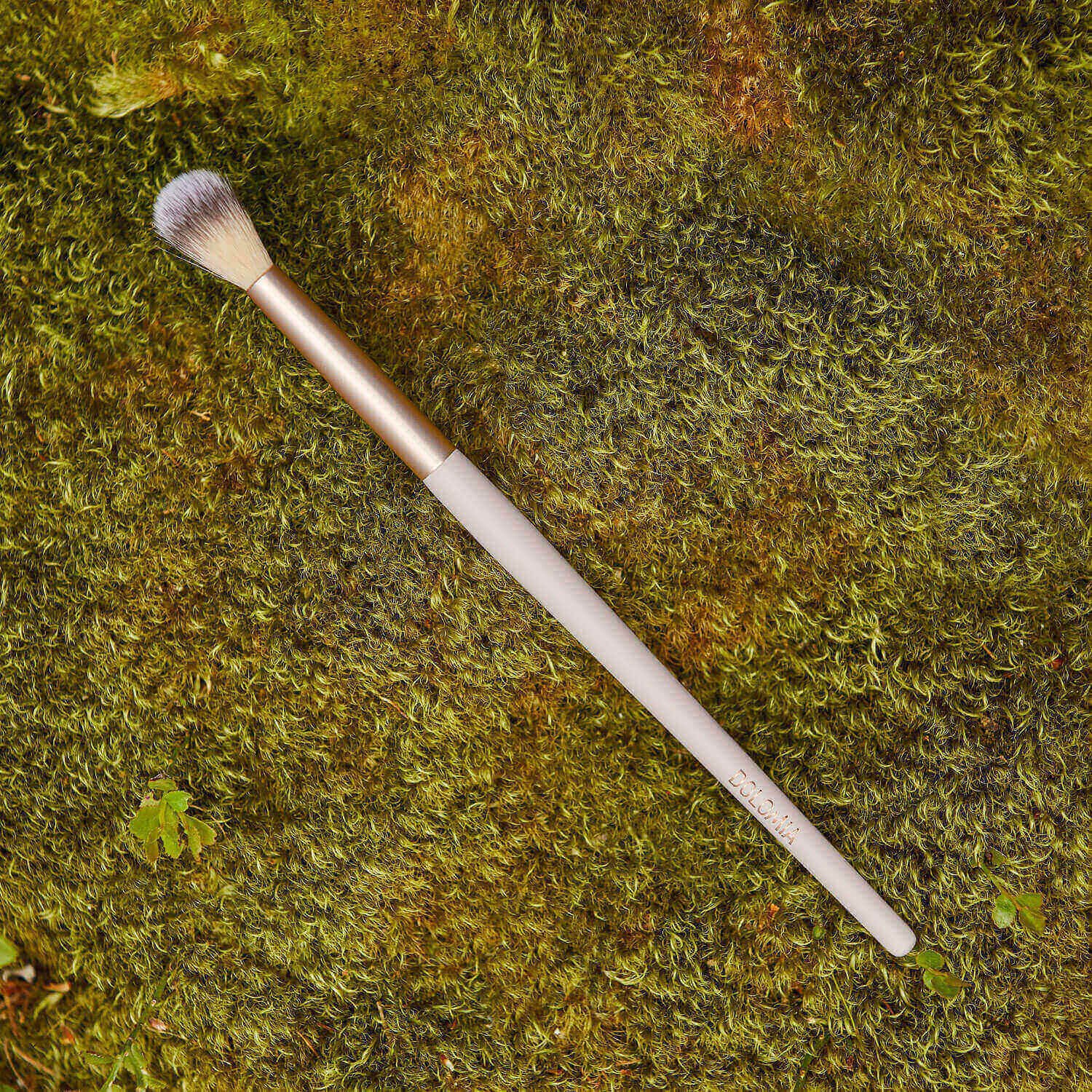 pennello 05 occhi luce pennello 05 occhi luce