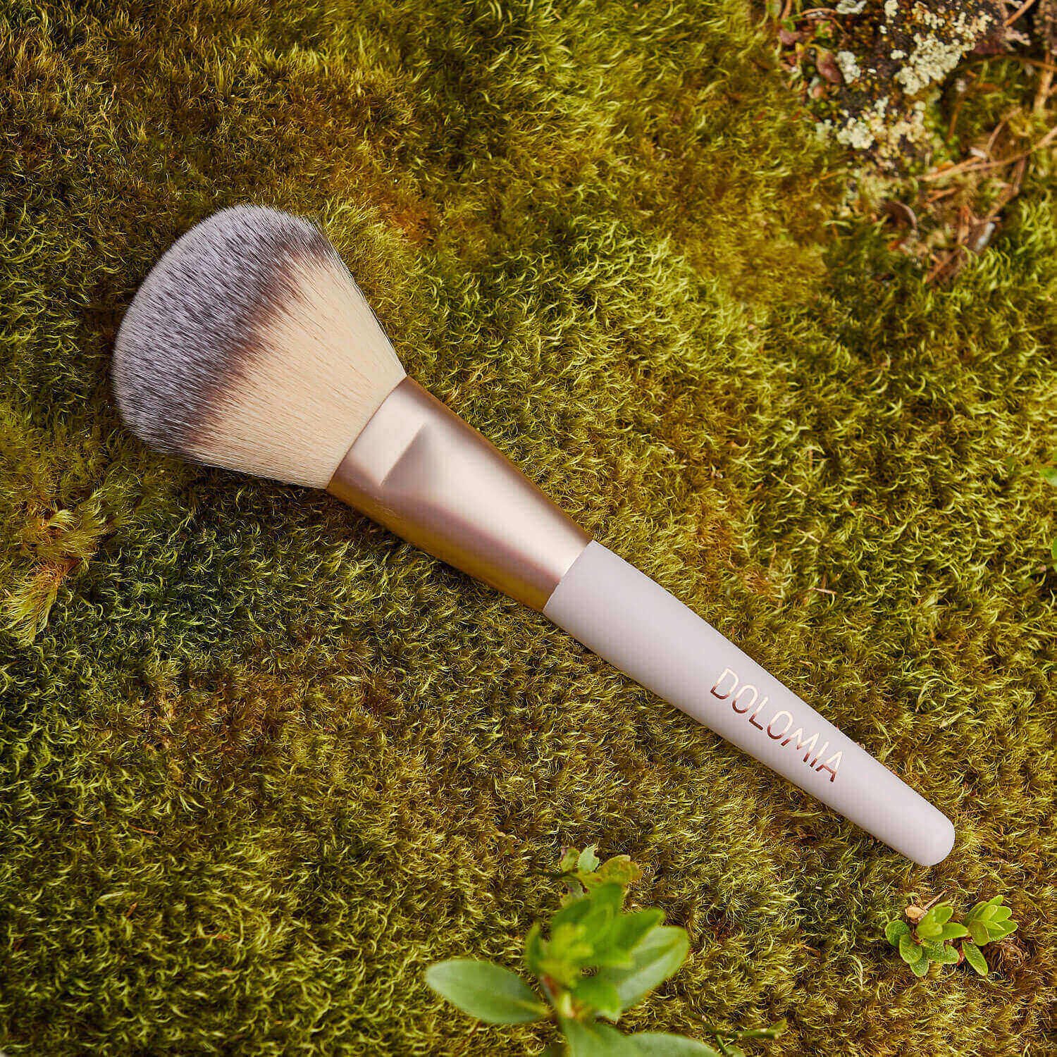 pennello 02 viso pennello 02 viso